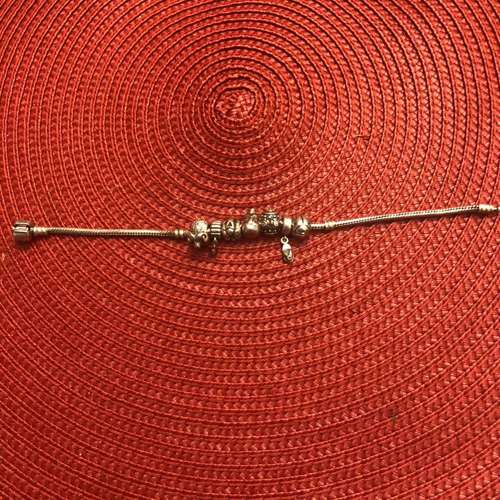 Pandora Bracelet
